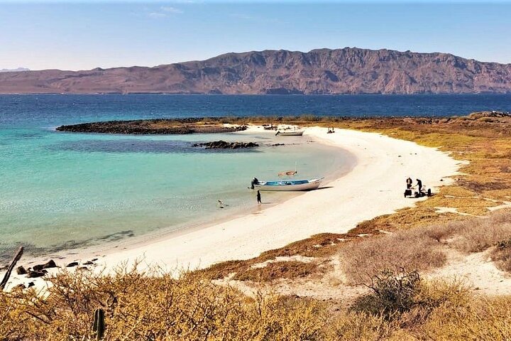 Coronado Island and Snorkel Tour