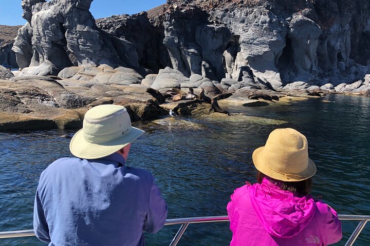 Coronado Island and Snorkel Tour