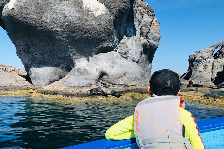 Coronado Island and Snorkel Tour