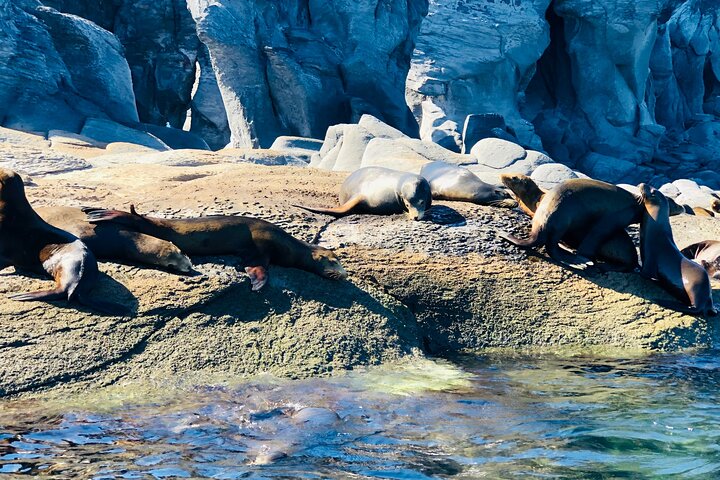 Coronado Island and Snorkel Tour