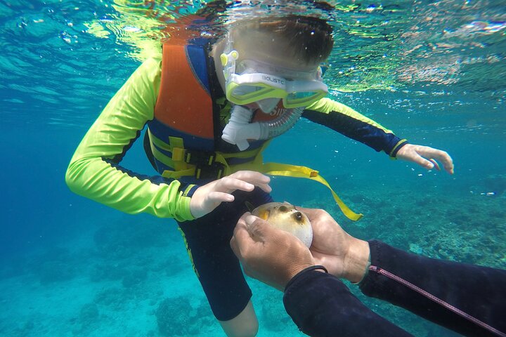 Coronado Island and Snorkel Tour