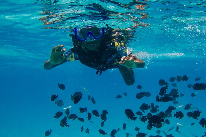 Coronado Island and Snorkel Tour
