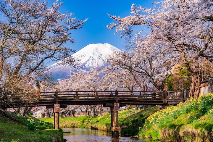 Mount Fuji Full Day Sightseeing Tour from Tokyo