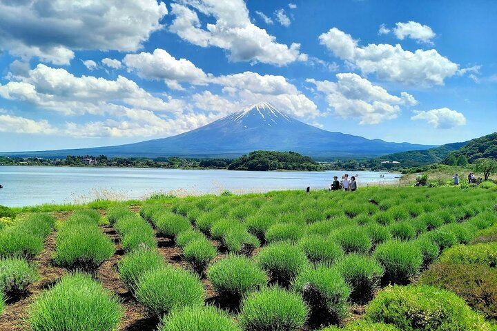 Mount Fuji Full Day Sightseeing Tour from Tokyo