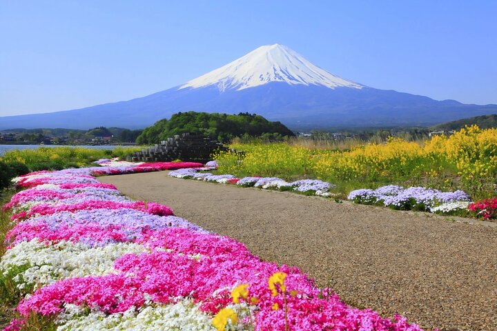 Mount Fuji Full Day Sightseeing Tour from Tokyo