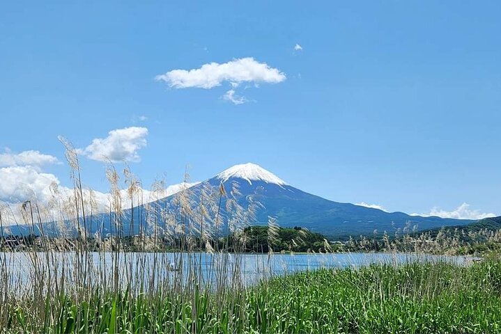 Mount Fuji Full Day Sightseeing Tour from Tokyo