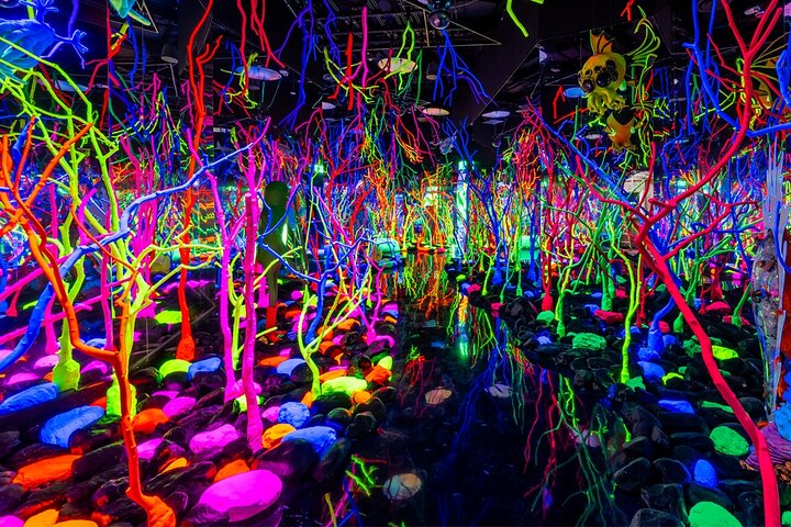 The Real Unreal at Meow Wolf Grapevine