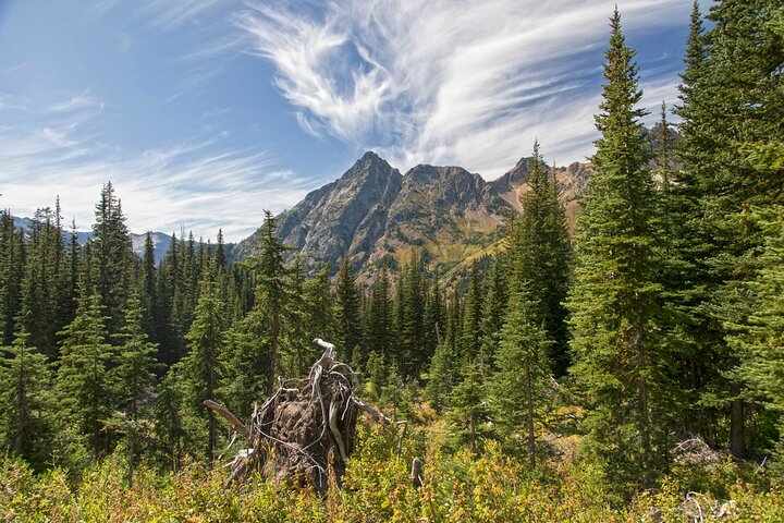 North Cascades Self-Guided Driving Audio Tour