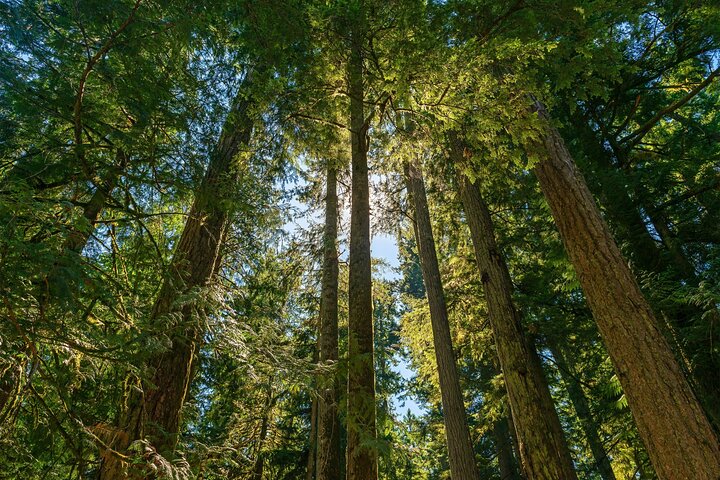 North Cascades Self-Guided Driving Audio Tour