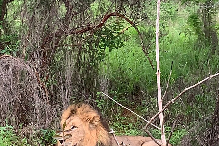 One Day Akagera Wildlife Safari