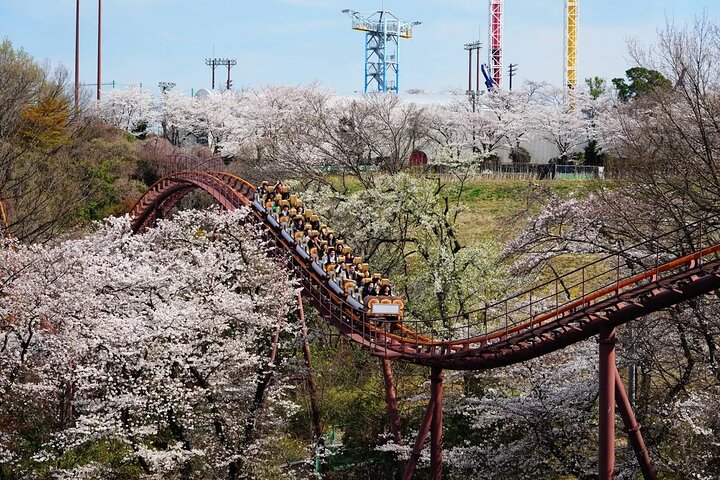 Yomiuriland One day Pass in Tokyo