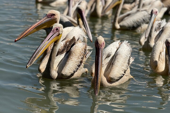Day Trip Bahir Dar, Lake Tana and Blue Nile Falls Tours