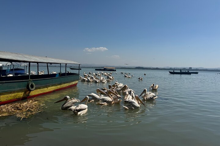 Day Trip Bahir Dar, Lake Tana and Blue Nile Falls Tours