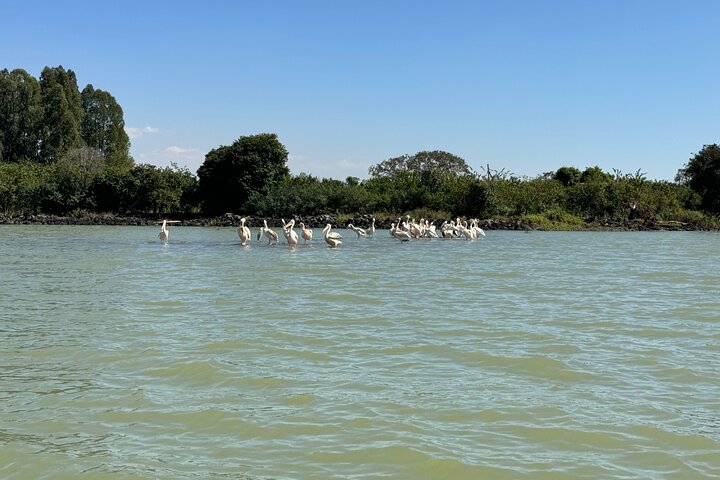 Day Trip Bahir Dar, Lake Tana and Blue Nile Falls Tours