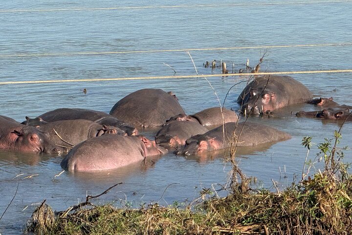 Day Trip Bahir Dar, Lake Tana and Blue Nile Falls Tours