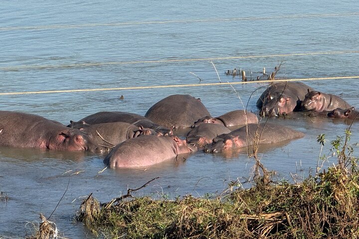 Day Trip Bahir Dar, Lake Tana and Blue Nile Falls Tours
