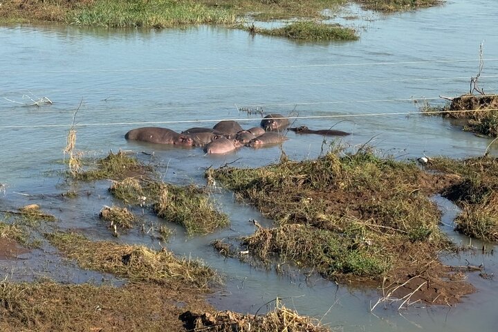 Day Trip Bahir Dar, Lake Tana and Blue Nile Falls Tours