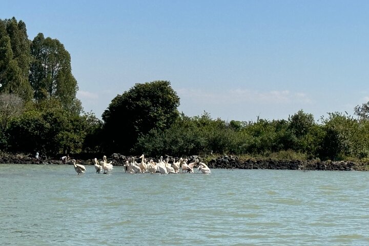 Day Trip Bahir Dar, Lake Tana and Blue Nile Falls Tours