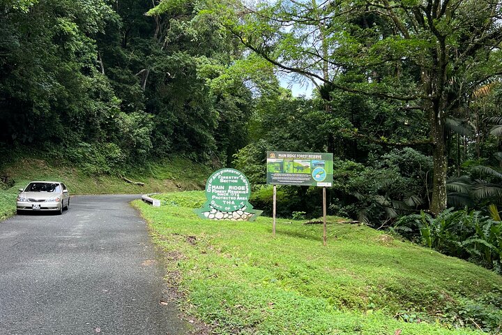 Birdwatching, Waterfall, Rainforest and Island Nature Tours
