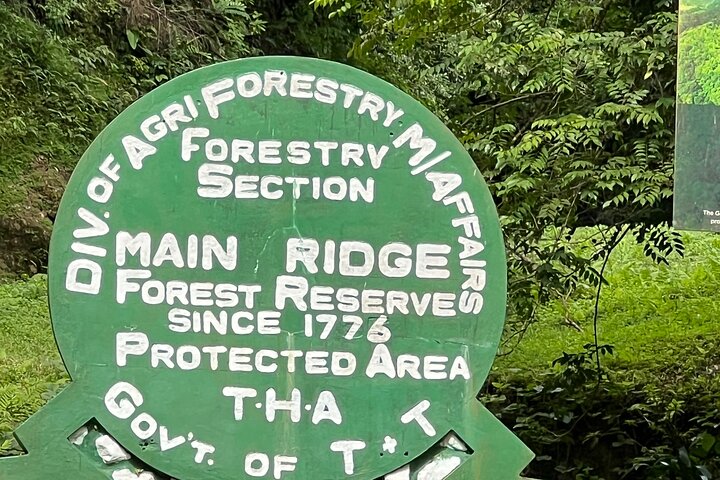 Birdwatching, Waterfall, Rainforest and Island Nature Tours