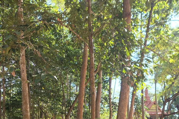 2-Days in temples and other areas