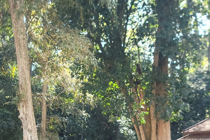 2-Days in temples and other areas