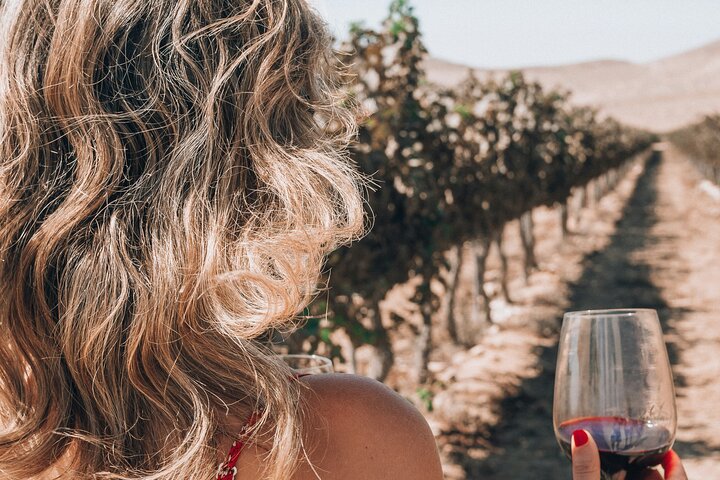 Private Luxury Wine Tour in Saint-Tropez and Provence