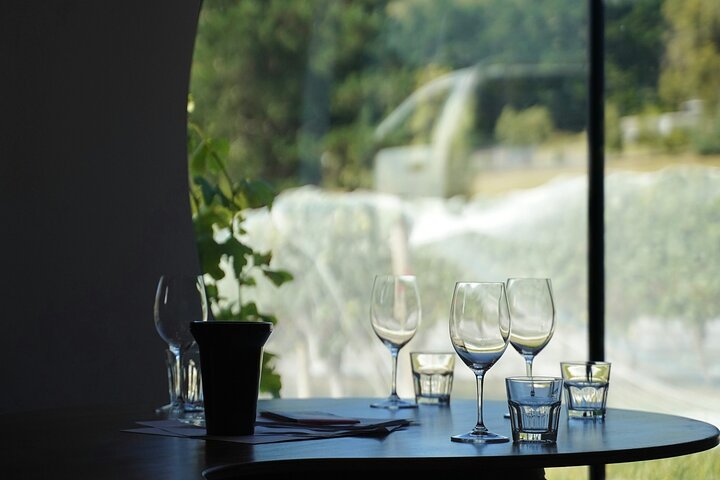 Private Luxury Wine Tour in Saint-Tropez and Provence