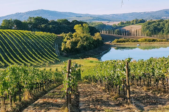 Private Luxury Wine Tour in Saint-Tropez and Provence