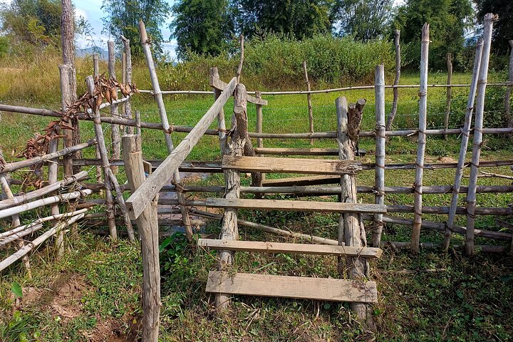 Plain of jars private and share group tour