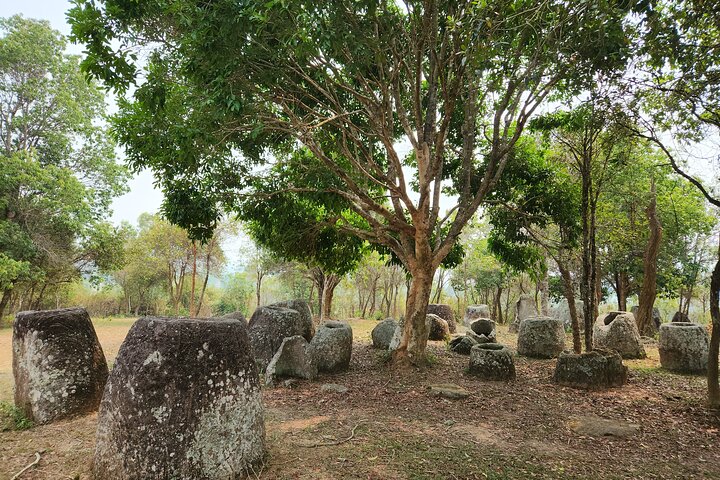 Plain of jars private and share group tour