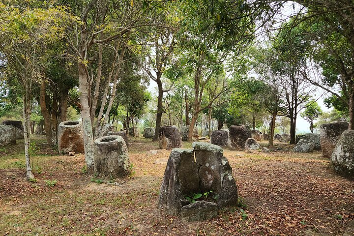 Plain of jars private and share group tour