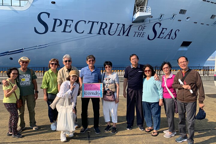 Kagoshima Shore Excursion: Custom Car Tour, Licensed Guide
