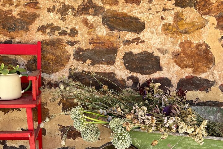 Discover Barossa: 4 Wine Tastings, Gourmet Lunch, and Hidden Gems