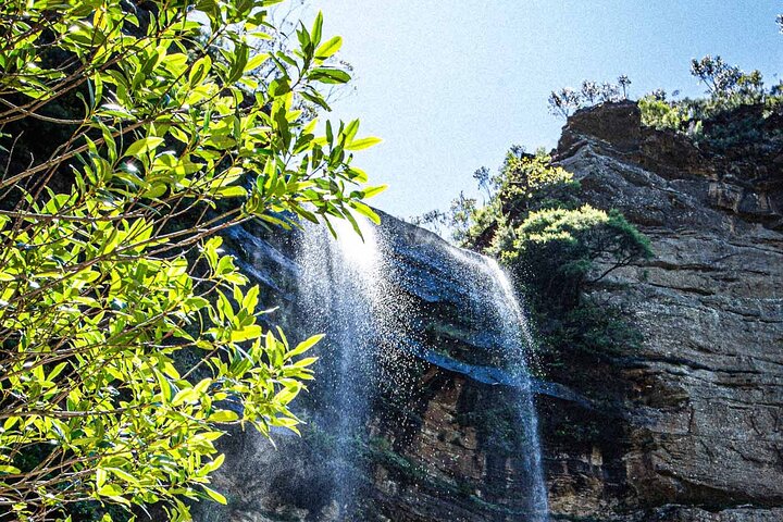 Private Blue Mountains Escape The Crowds Mercedes Tour