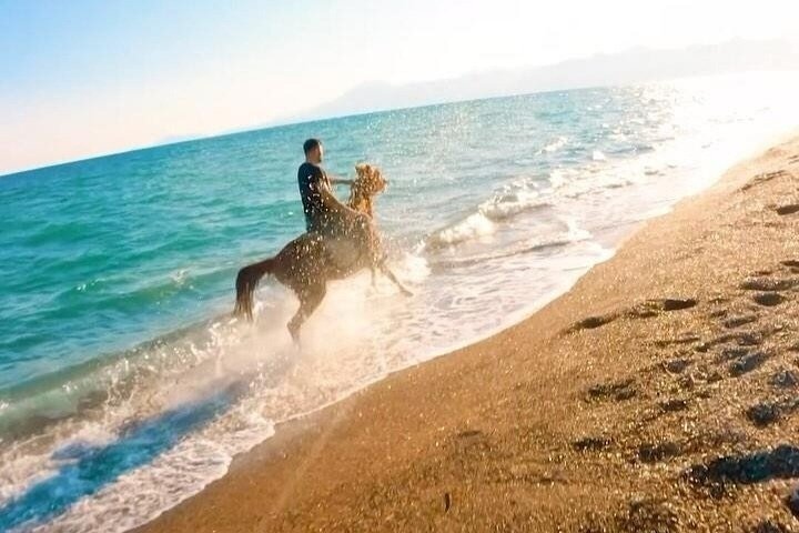 Antalya / Belek : Horse Riding Experience Forest & Beach