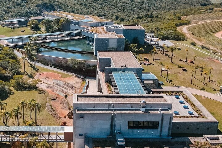 Wine Lovers - Bodega Garzon Experience