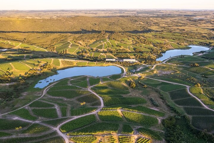 Wine Lovers - Bodega Garzon Experience