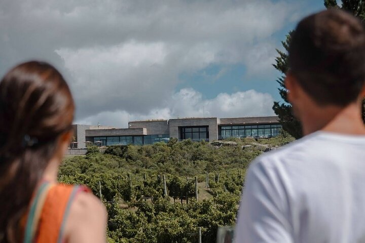 Wine Lovers - Bodega Garzon Experience