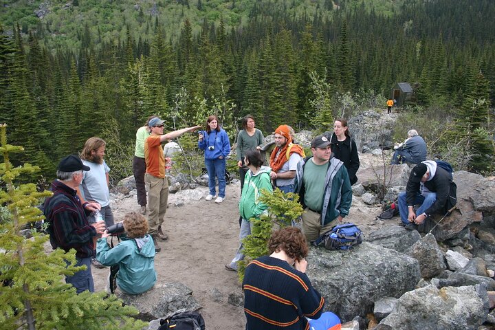 Laughton Glacier Hike and White Pass Rail Adventure