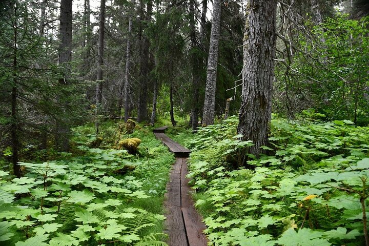 Laughton Glacier Hike and White Pass Rail Adventure