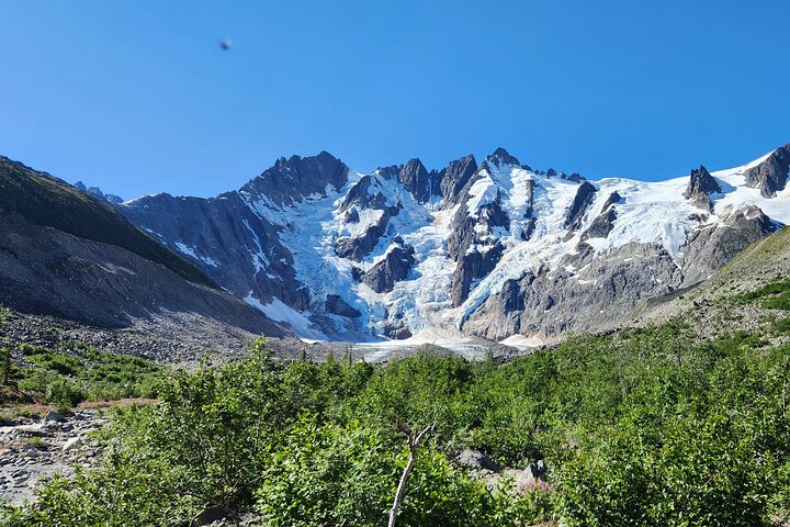 Laughton Glacier Hike and White Pass Rail Adventure