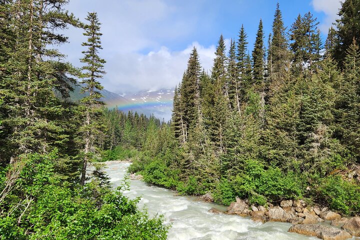 Laughton Glacier Hike and White Pass Rail Adventure