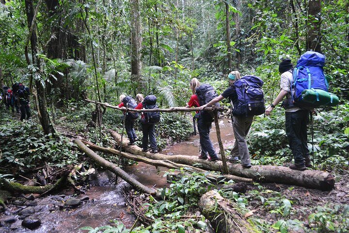 Bungalows & Bamboo Trails: A 4-Day Luang Namtha Cultural Retreat