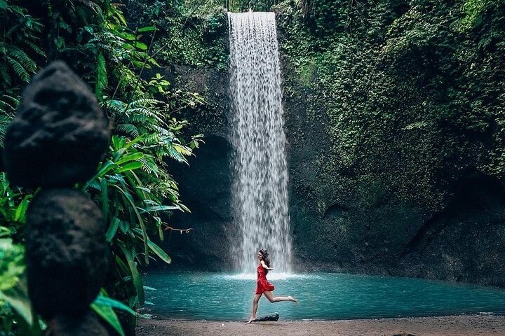 Ubud Private Tour - Waterfalls, Water Temple & Rice Terraces
