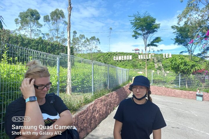 Cameron Highlands Private Day Tour from Ipoh, Package B