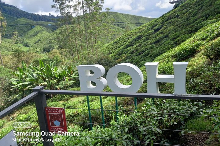 Cameron Highlands Private Day Tour from Ipoh, Package B