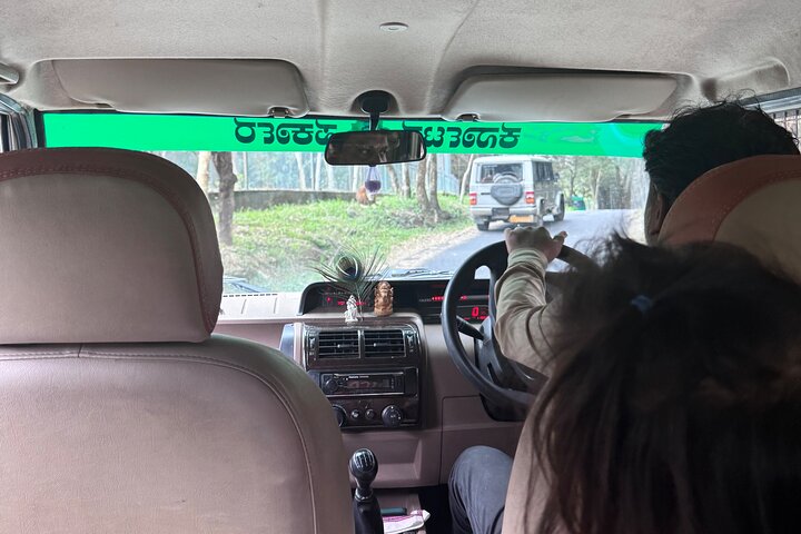 Wild Life Jeep Safari Tour at Bannerghatta with Private Transfer