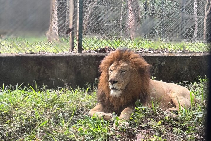Wild Life Jeep Safari Tour at Bannerghatta with Private Transfer