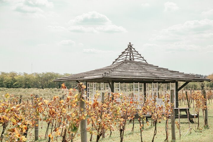 Buenos Aires Experience Winery Gamboa Tasting and Lunch.